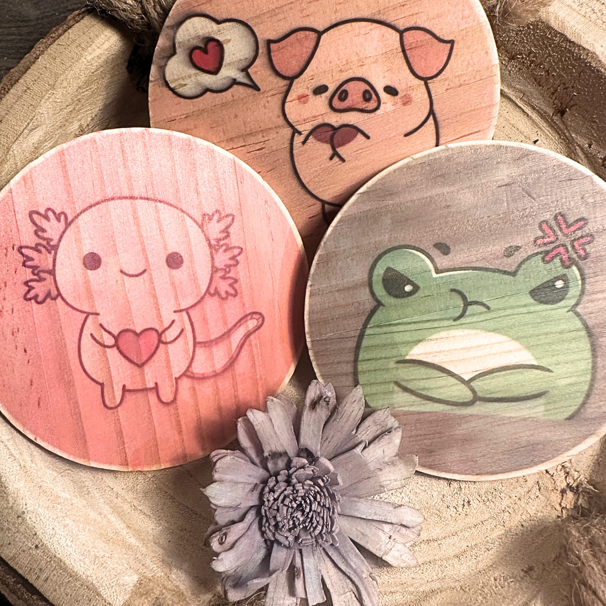 Lot de 3 Dessous de Verre - Collection Grenouille Axolotl Cochon