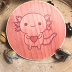 Lot de 3 Dessous de Verre - Collection Grenouille Axolotl Cochon