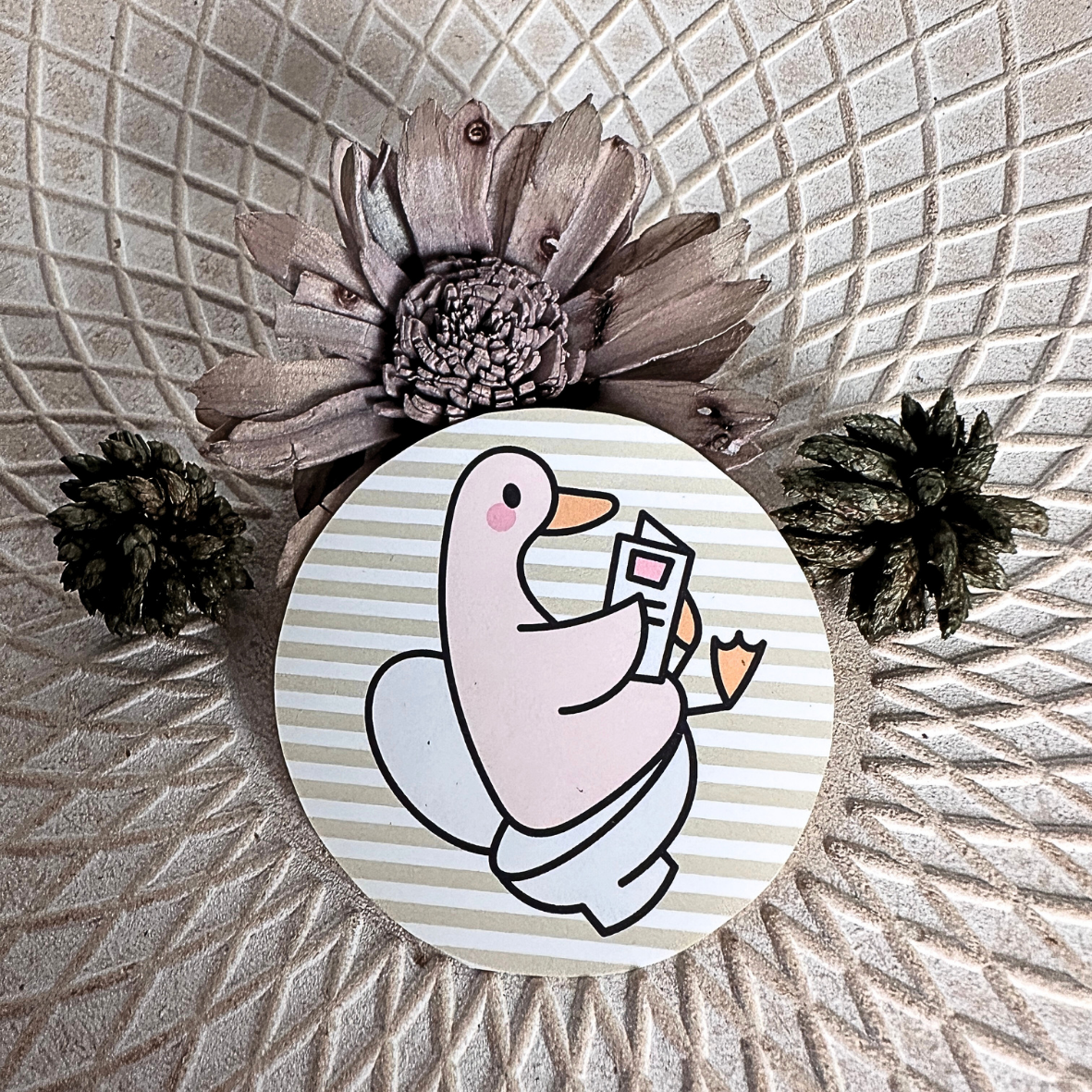 Stickers rayures - Canard WC