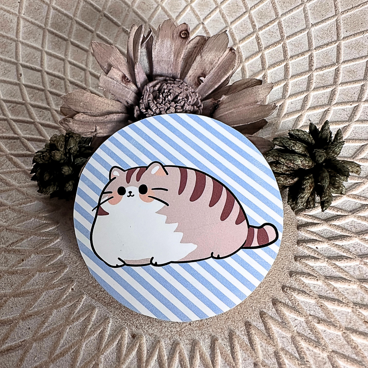 Stickers rayures - Gros chat