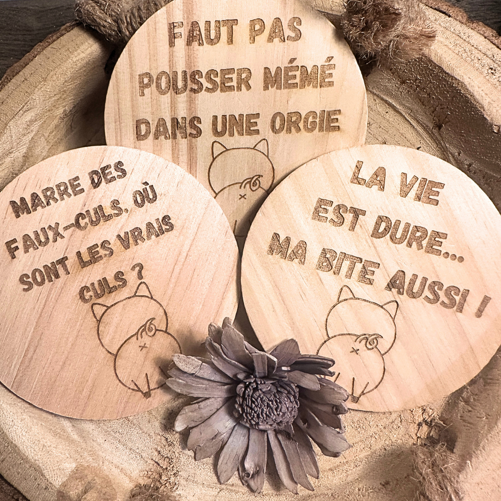 Lot de 3 Dessous de Verre - Collection Cochon