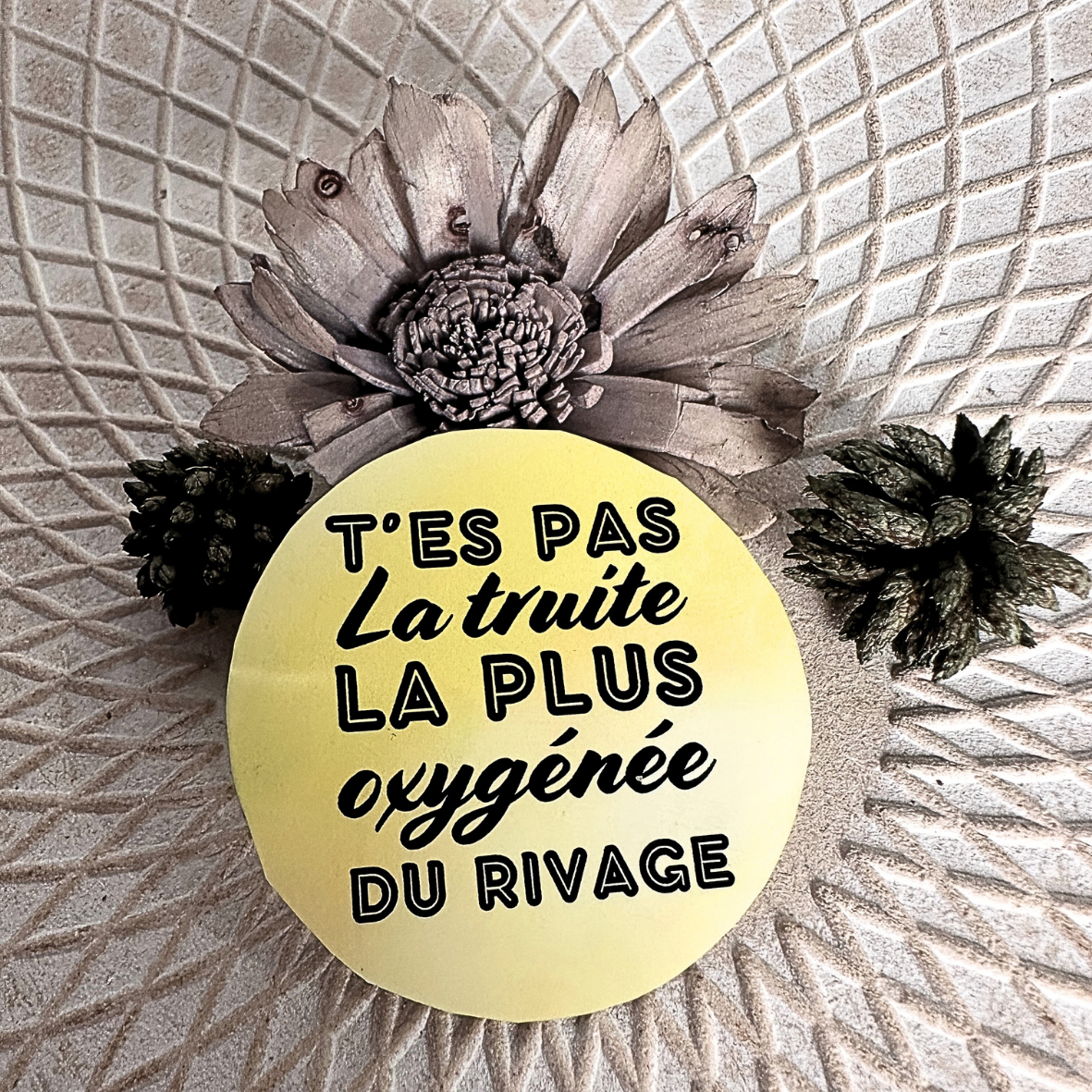 Stickers "T'es pas..." - Truite