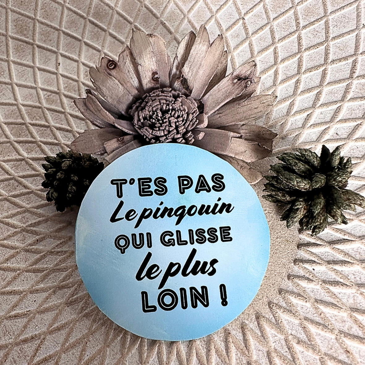 Stickers "T'es pas..." - Pingouin