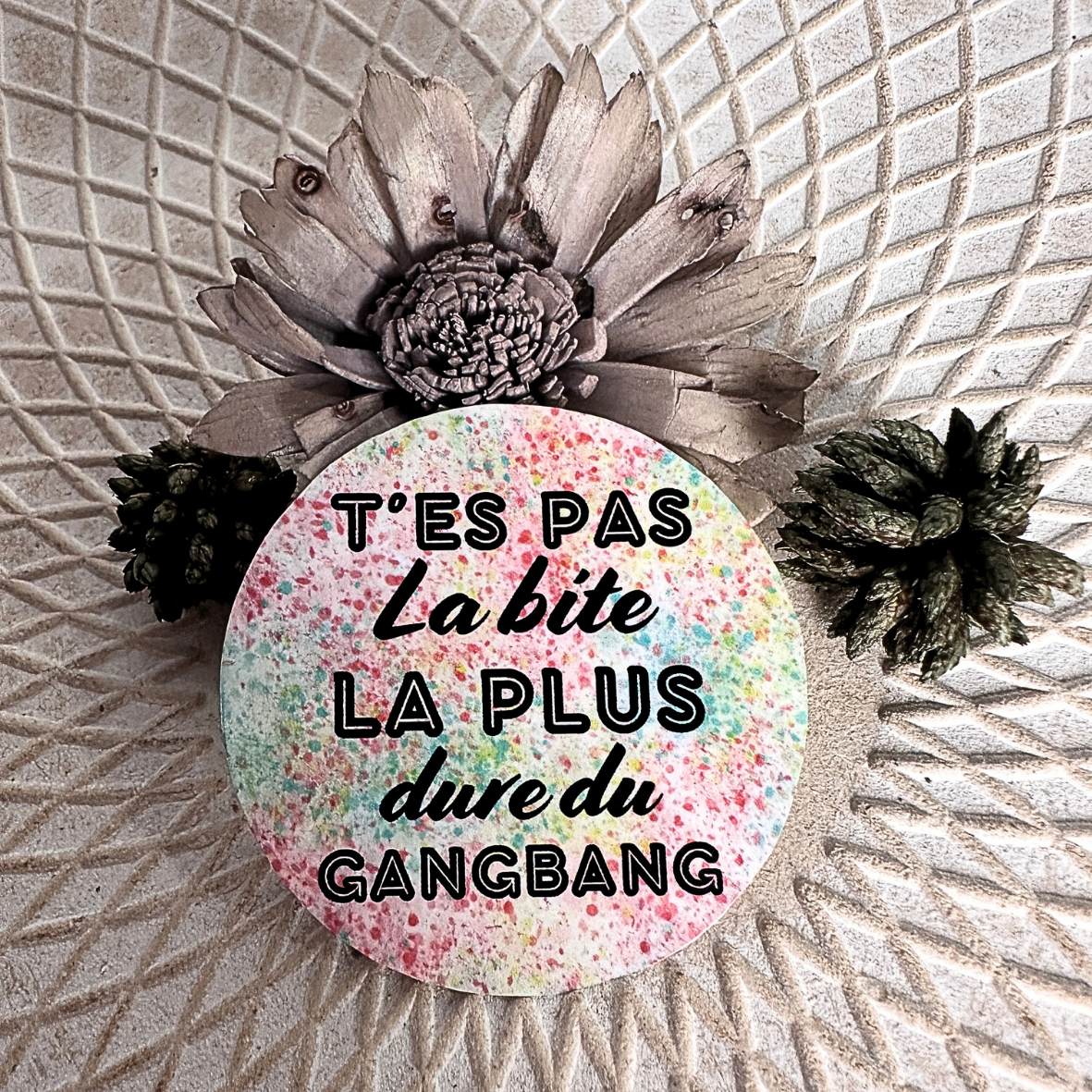 Stickers "T'es pas..." - Bite