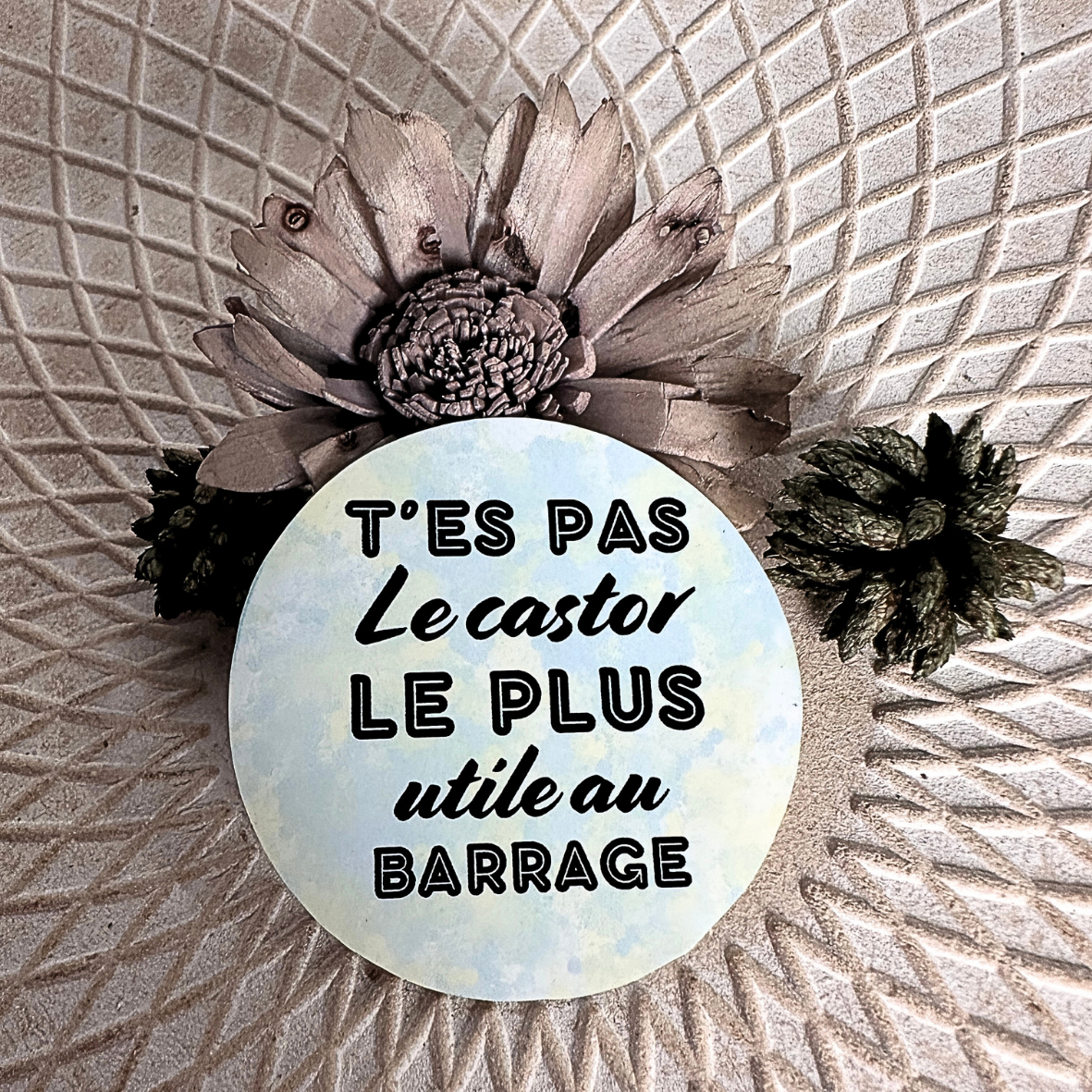 Stickers "T'es pas..." - Castor