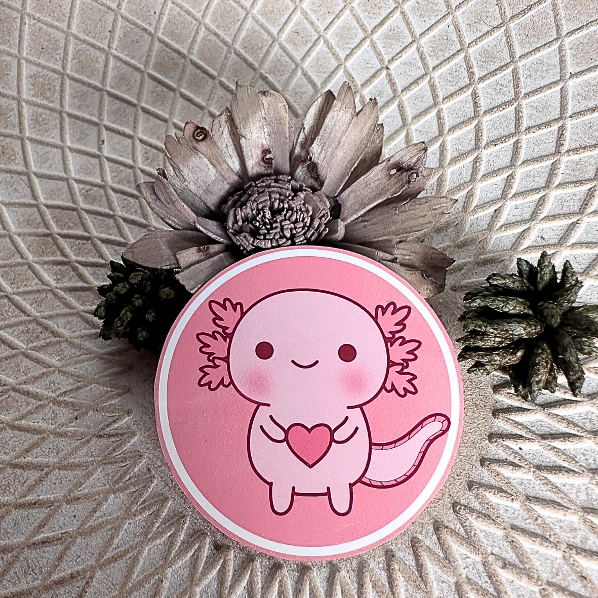 Stickers Couleur - Axoloth
