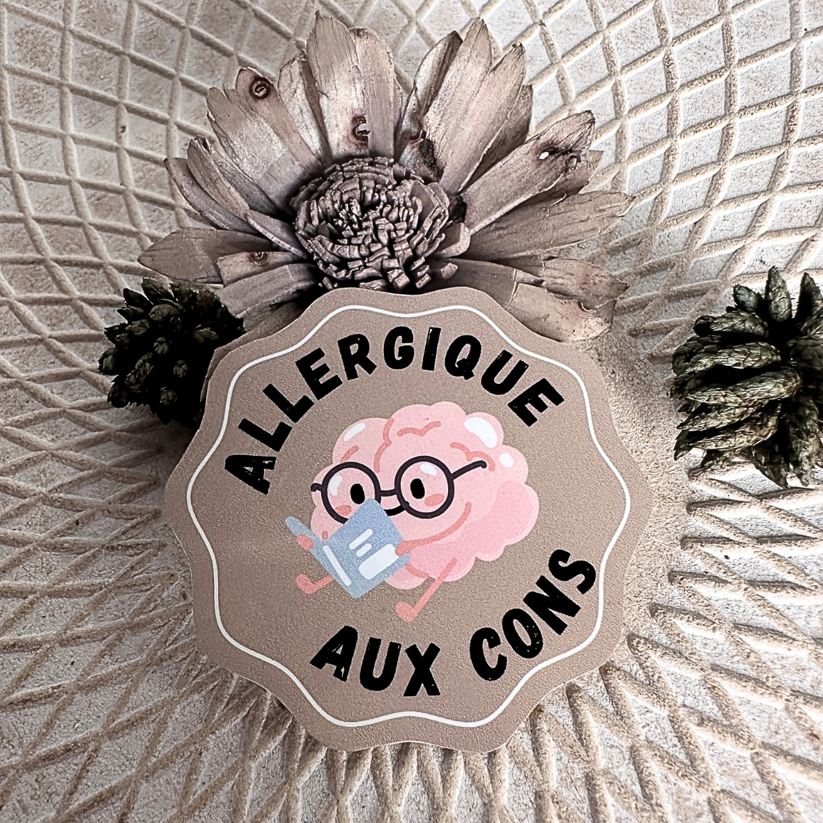 Stickers Humour - Allergique