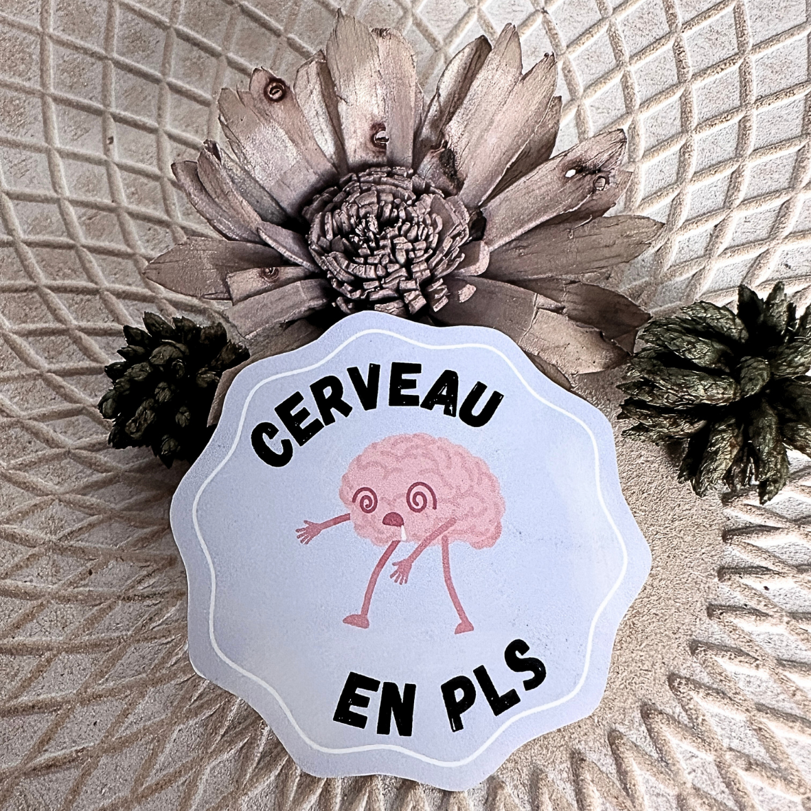 Stickers Humour - Cerveau PLS