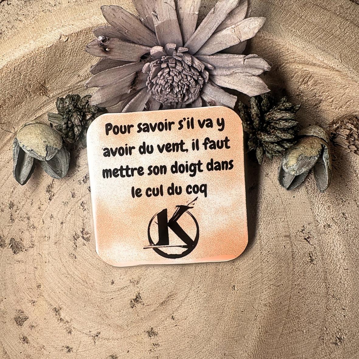 Magnet - Kaamelott - "Pour savoir.. coq"