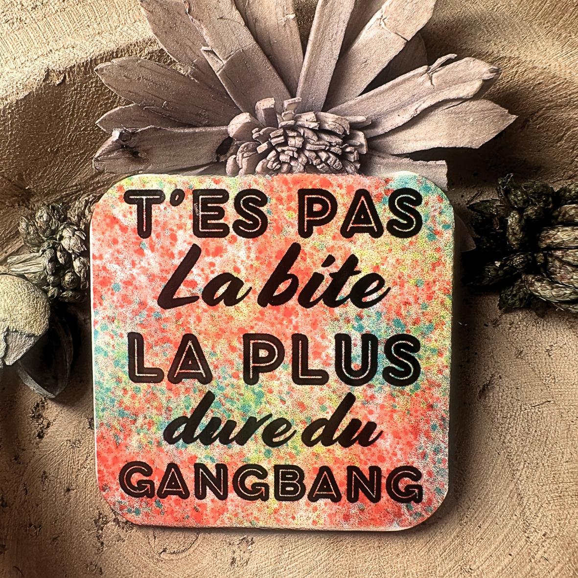 Magnet - "T'es pas.." - Bite