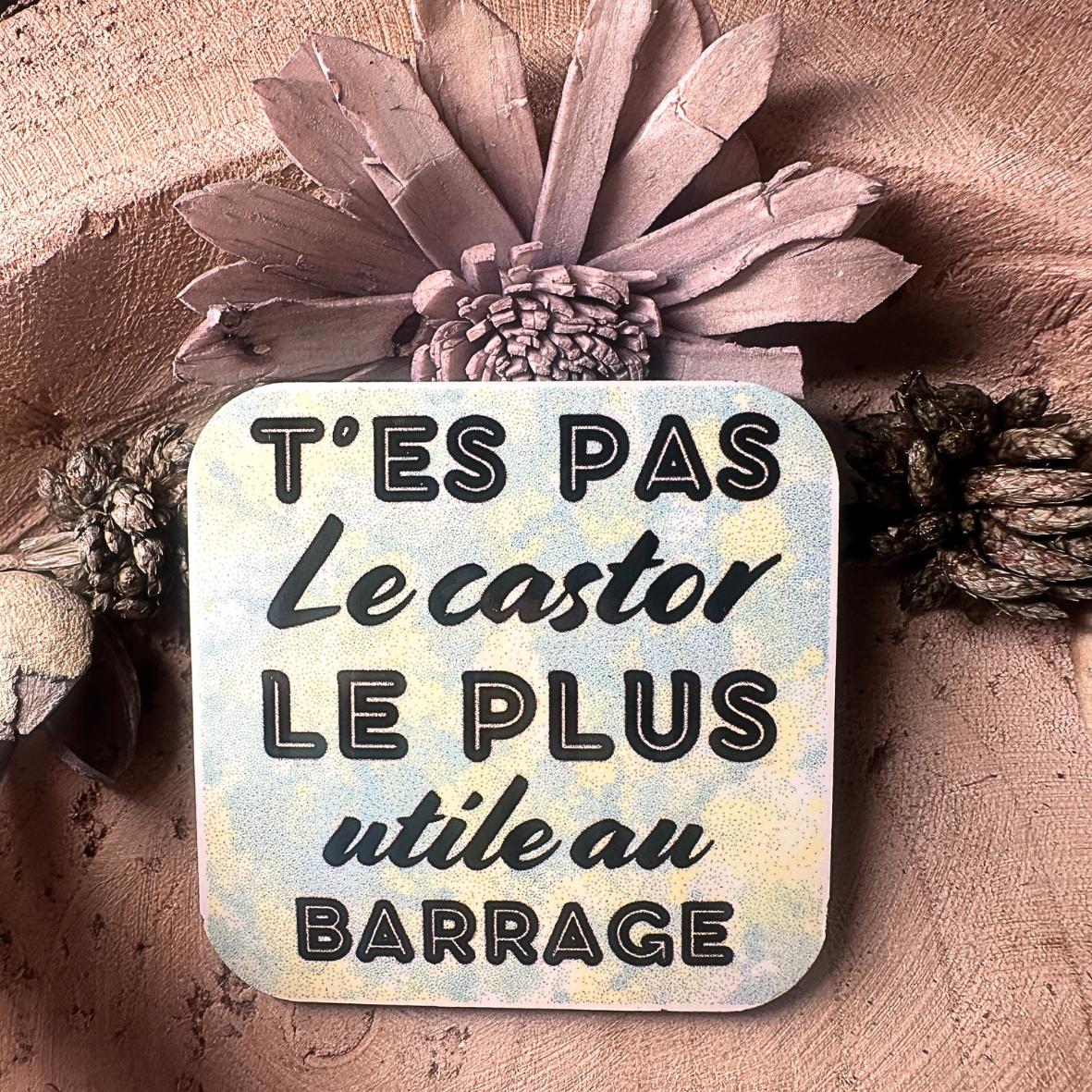 Magnet - "T'es pas.." - Castor
