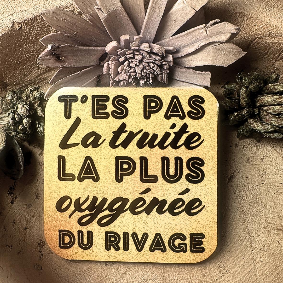 Magnet - "T'es pas.." - Truite