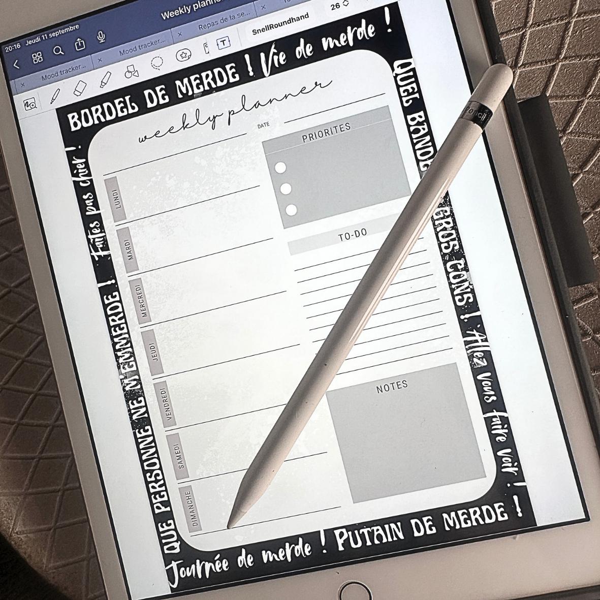 Lot Digital Organisateurs - Collection Aigri